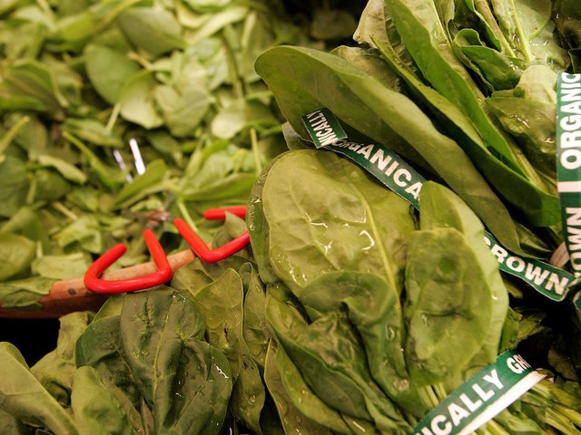 Foods that can suppress appetite, aid weight loss