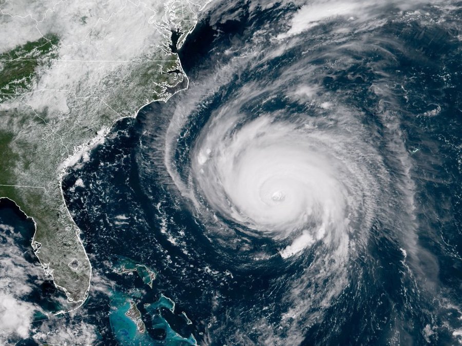 Hundreds of dogs and cats defy mandatory evacuation order ...